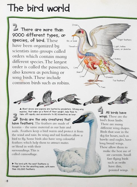 100 Things You Should Know About Birds