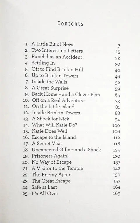 The Riddle Of The Rajah's Ruby - The Riddle Series - Image #3