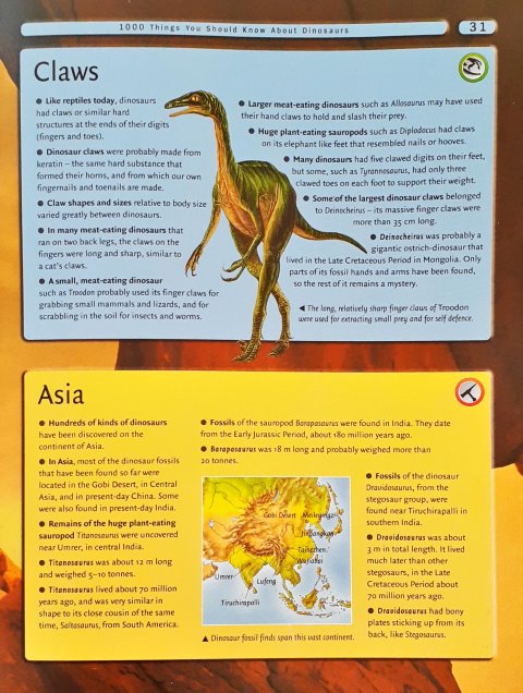 8000 Awesome Things You Should Know Dinosaurs Prehistoric Life Sharks Insects Birds Mammals Ancient History Modern History