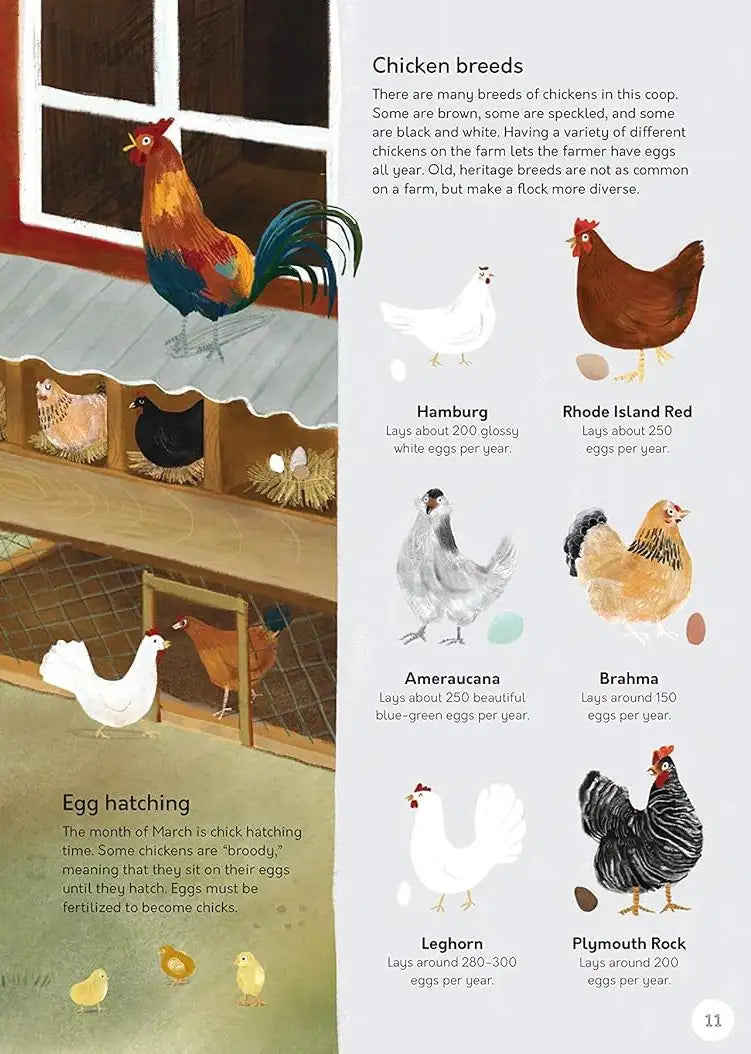 Farm That Feeds Us : A year in the life of an organic farm