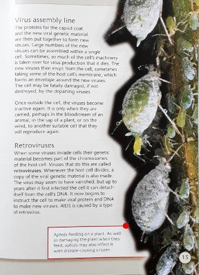 Microlife A World of Microorganisms