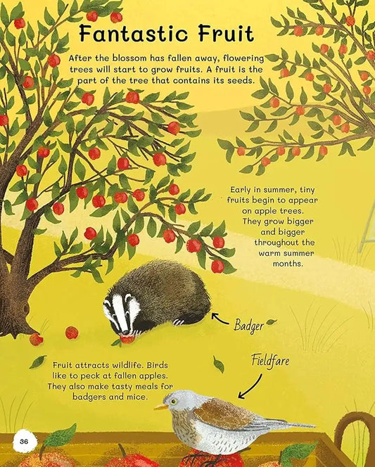 All About Trees | Hardcover