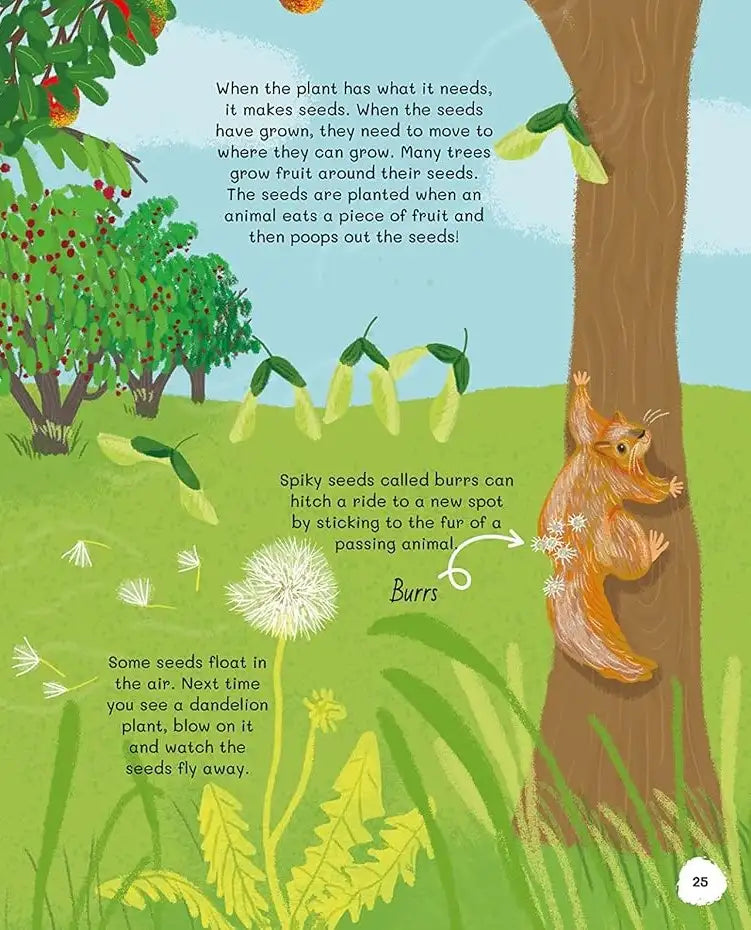 All About Trees | Hardcover