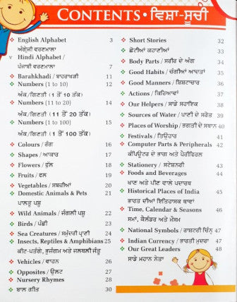 All In One English Punjabi