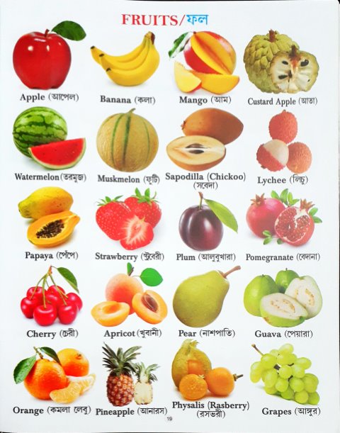 All In One English Bangla