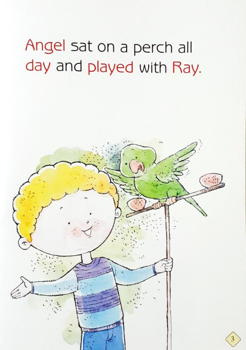 Angel The Brave Bird - Phonics Readers Level 2