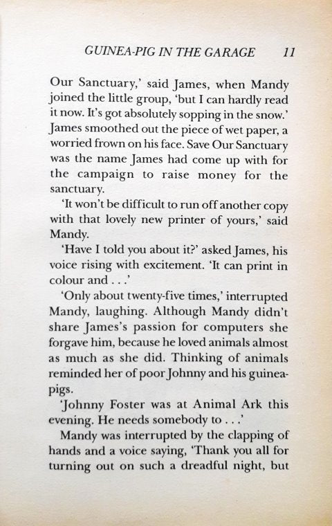 Animal Ark Guinea Pig In The Garage