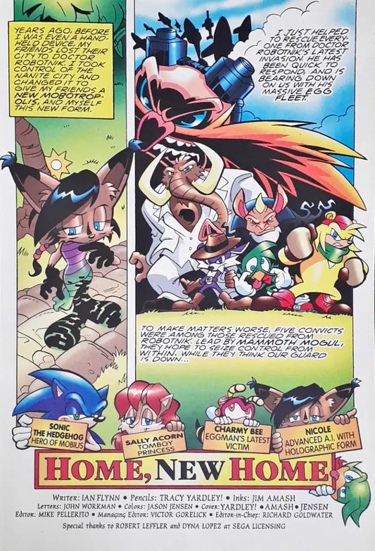 Sonic The Hedgehog : Archie Comics 65th Anniversary Adventure Series No. 177