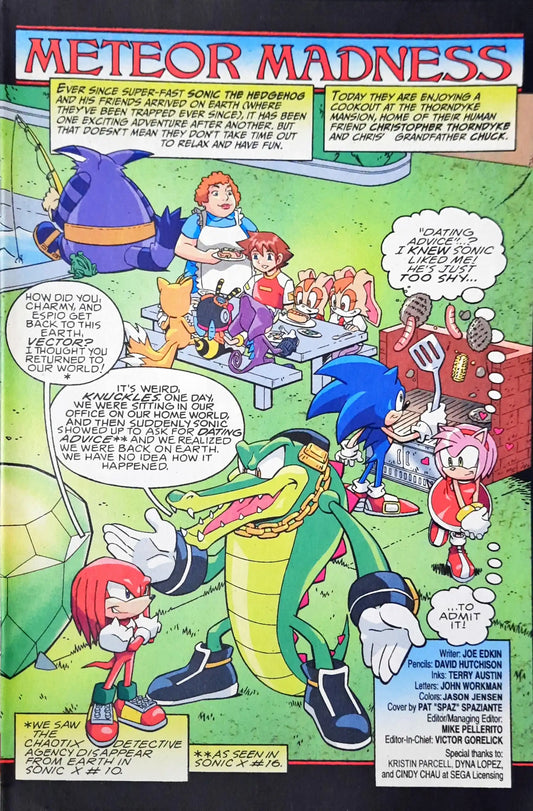 Sonic X Meteor Madness : Archie Comics No. 33