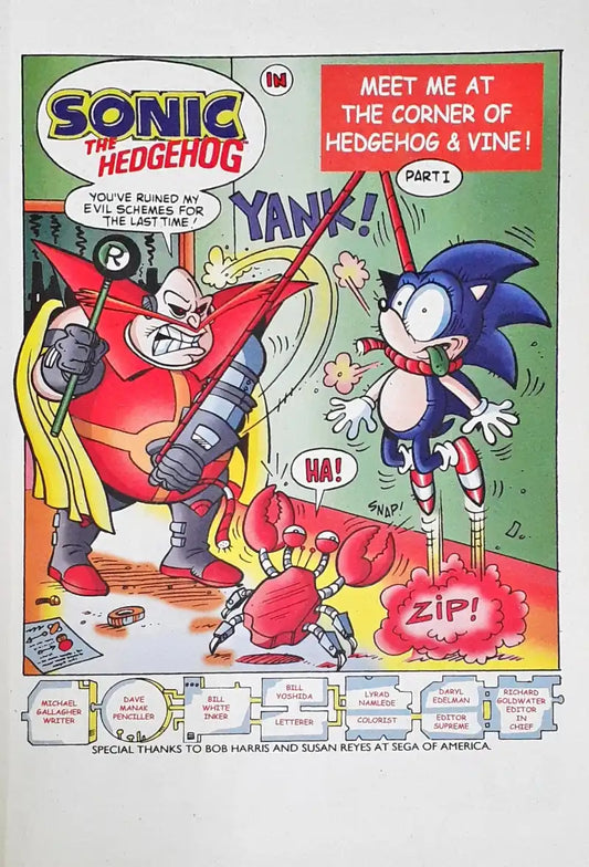 Sonic The Hedgehog Sonic's First Issue : Archie Comics Adventure Series