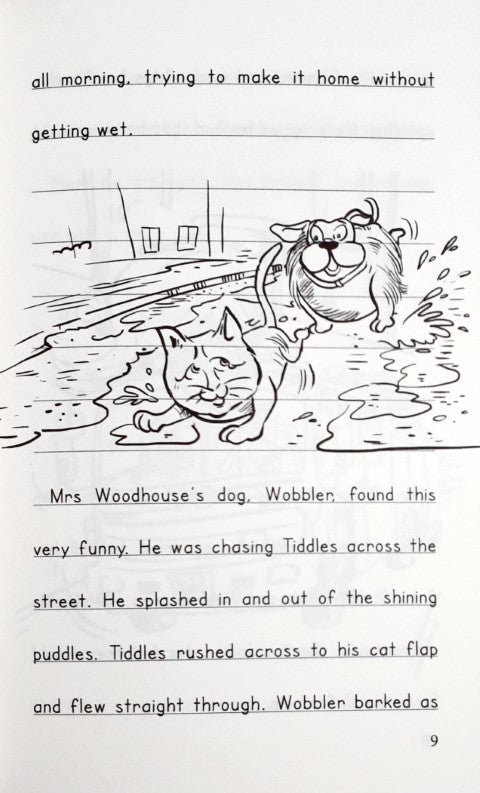 The Diaries of Robin's Travels - Venice