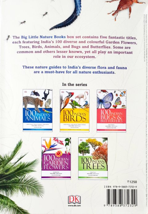 Big Little Nature Books Box Set