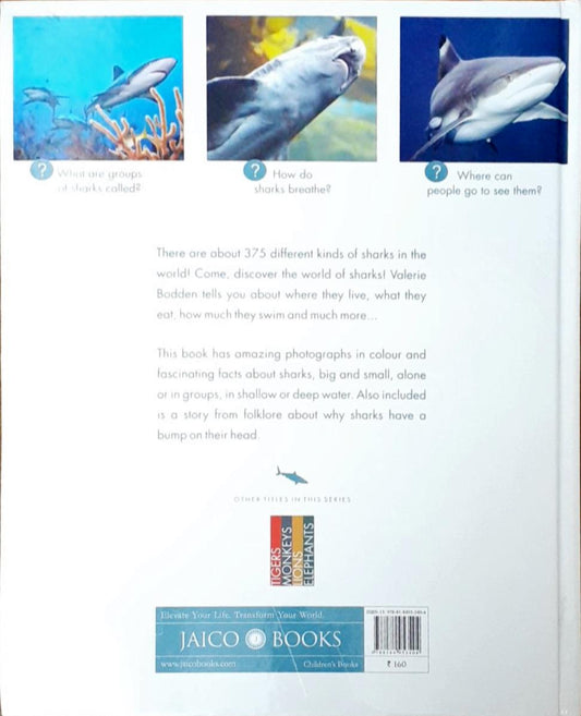 Amazing Animals - Sharks