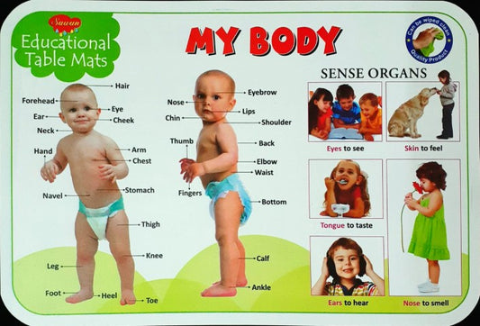 Body Parts - Educational Table Mats (Wipe & Clean Double Sided)