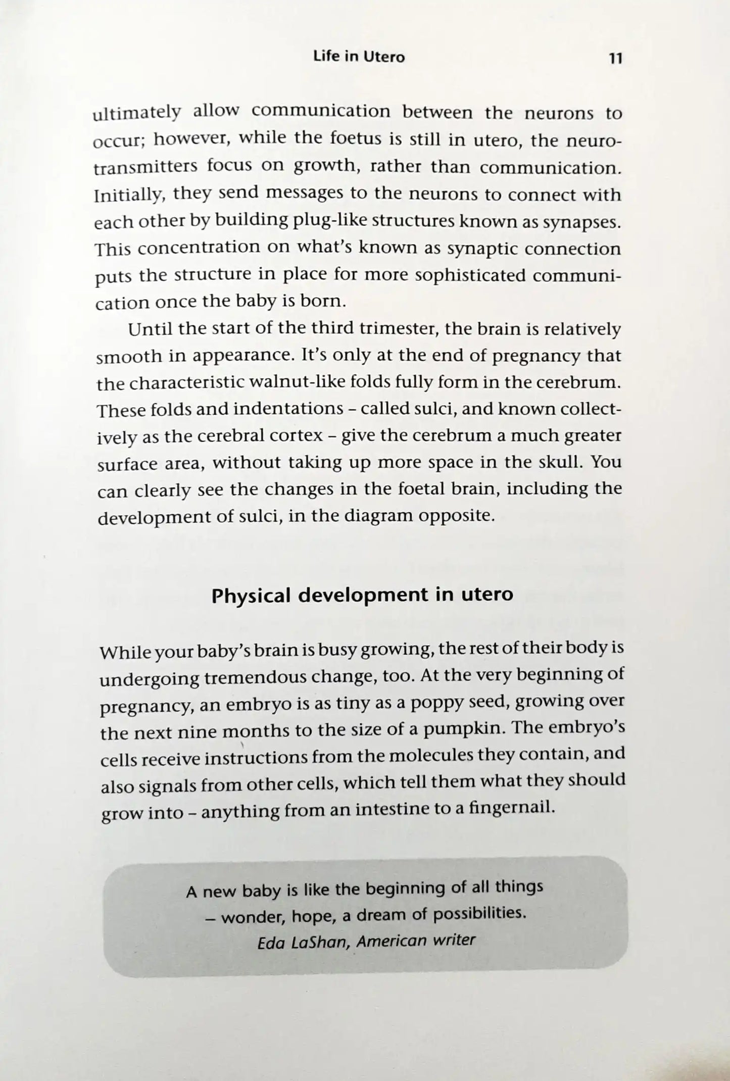 Beginnings: A Guide to Child Psychology and Development for Parents of 0–5-year-olds