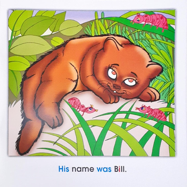 Phonics Story Time Library Bill and The Figs