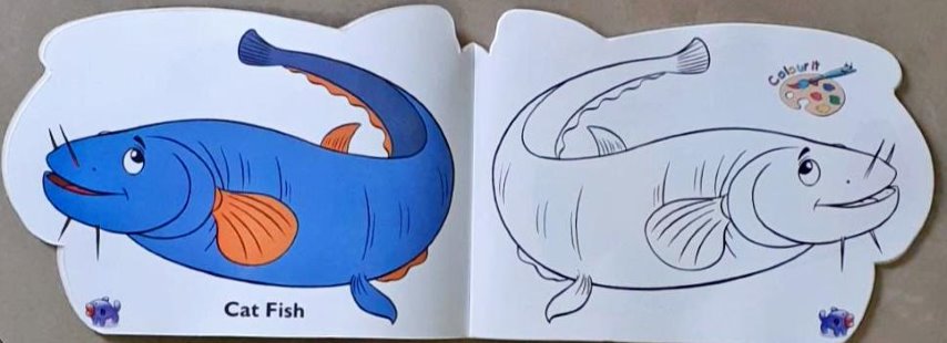 Fish - Funky Copy Colouring