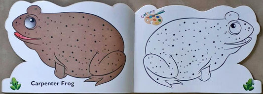 Frogs - Funky Copy Colouring