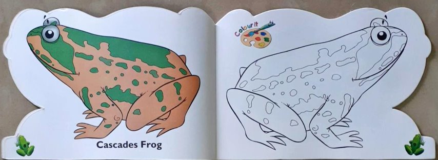 Frogs - Funky Copy Colouring