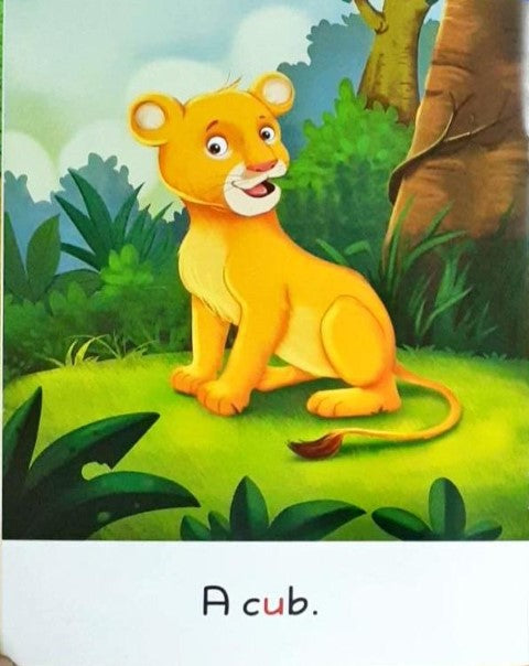 My Phonics Key Word Stories - Fun In The Sun 5B