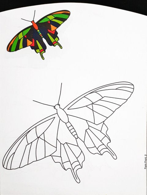 Fun N Frolic Butterflies