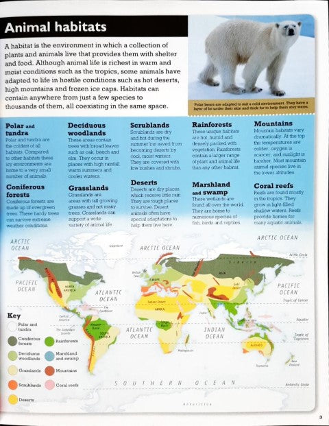 Children's Sticker Atlas Animals Of The World With 60 Stickers