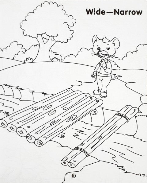 Colour And Learn Opposites