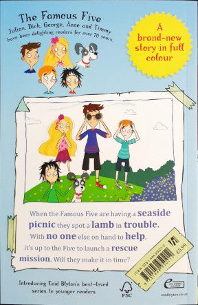Five To The Rescue: Famous Five Colour Short Stories