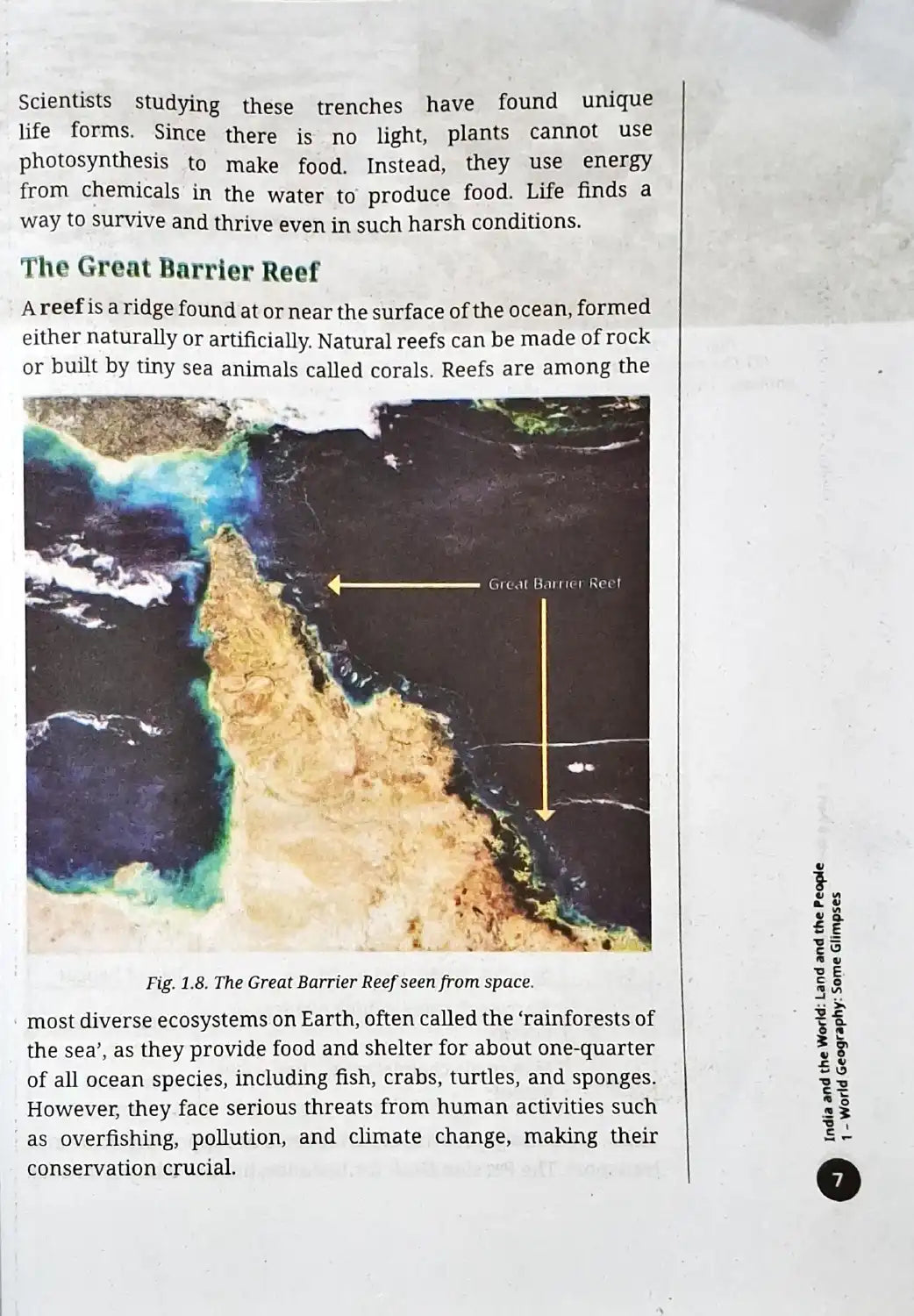 NCERT New Edition Social Studies Grade 8 : Exploring Society - India and Beyond - Part 2