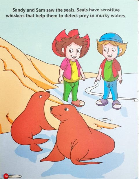 Holiday Fun in Australia