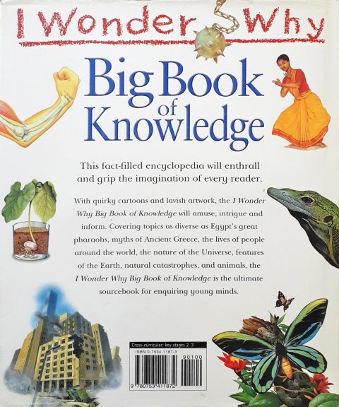 I Wonder Why Big Book Of Knowledge