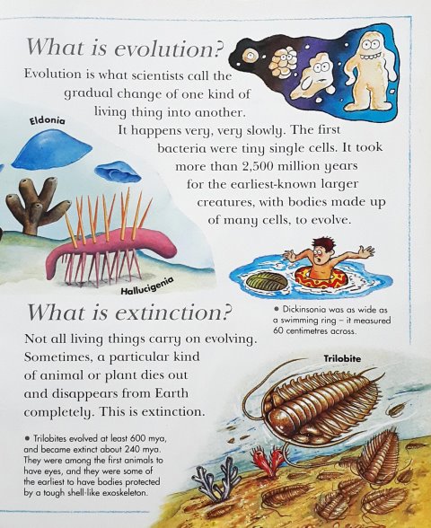 I Wonder Why Big Book Of Knowledge