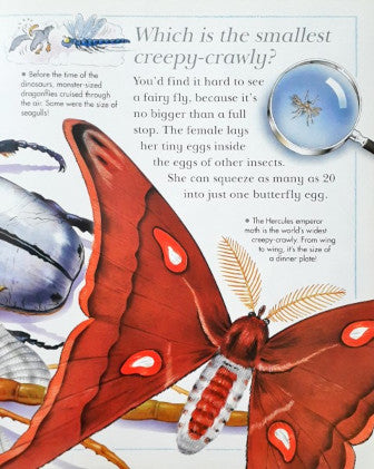 I Wonder Why Spiders Spin Webs And Other Questions About Creepy Crawlies