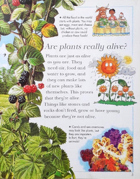 I Wonder Why Trees Have Leaves And Other Questions About Plants