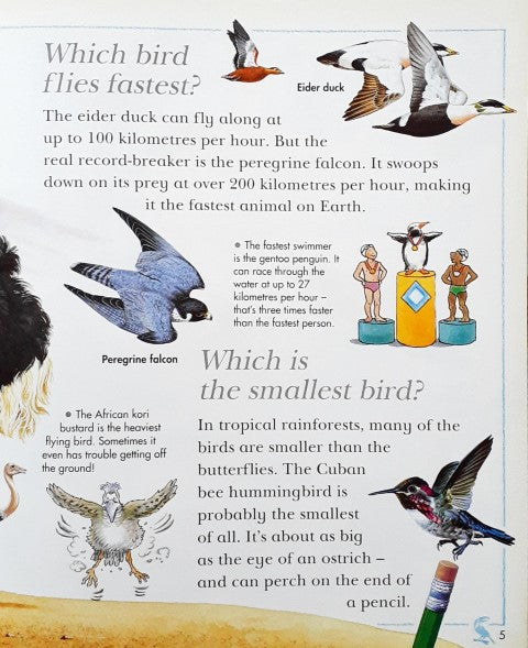 I Wonder Why Vultures Are Bald And Other Questions About Ancient Birds