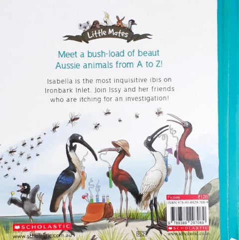 Inquisitive Ibis - Little Mates