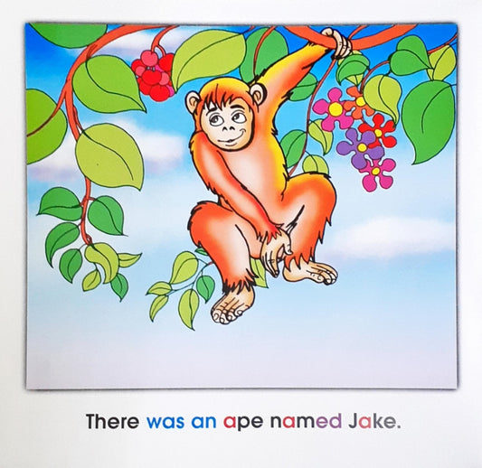 Phonics Story Time Library Jake's Birthday