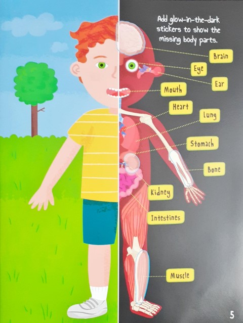 Know and Glow Human Body Sticker Activities