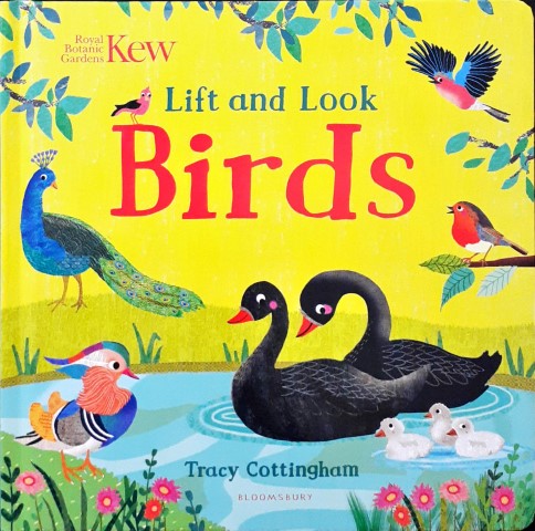 Kew Lift And Look Birds
