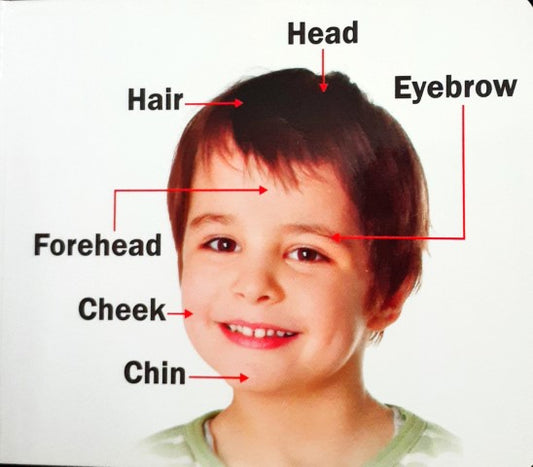 Kids Board Book Body Parts