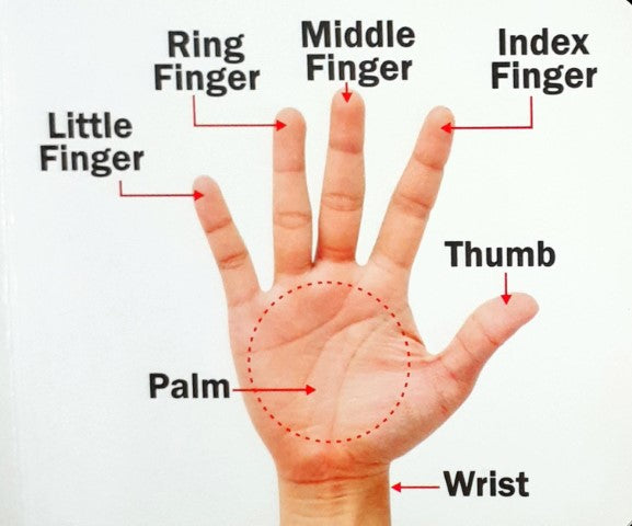 Kids Board Book Body Parts