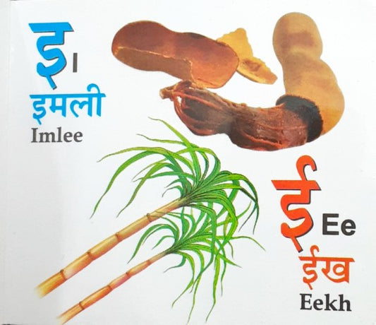 Kids Board Book Hindi Varnmala