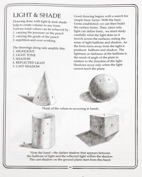 Learn Pencil Shading Birds
