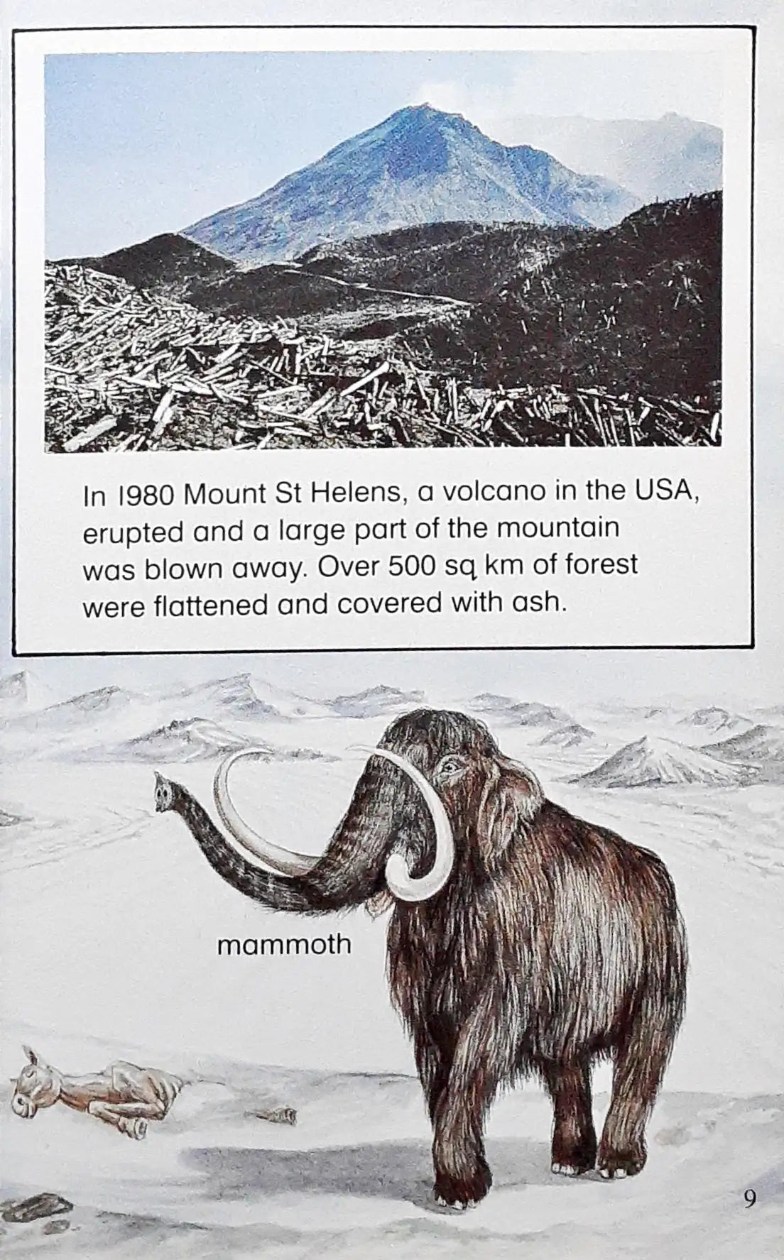 Ladybird : Ecology (P)