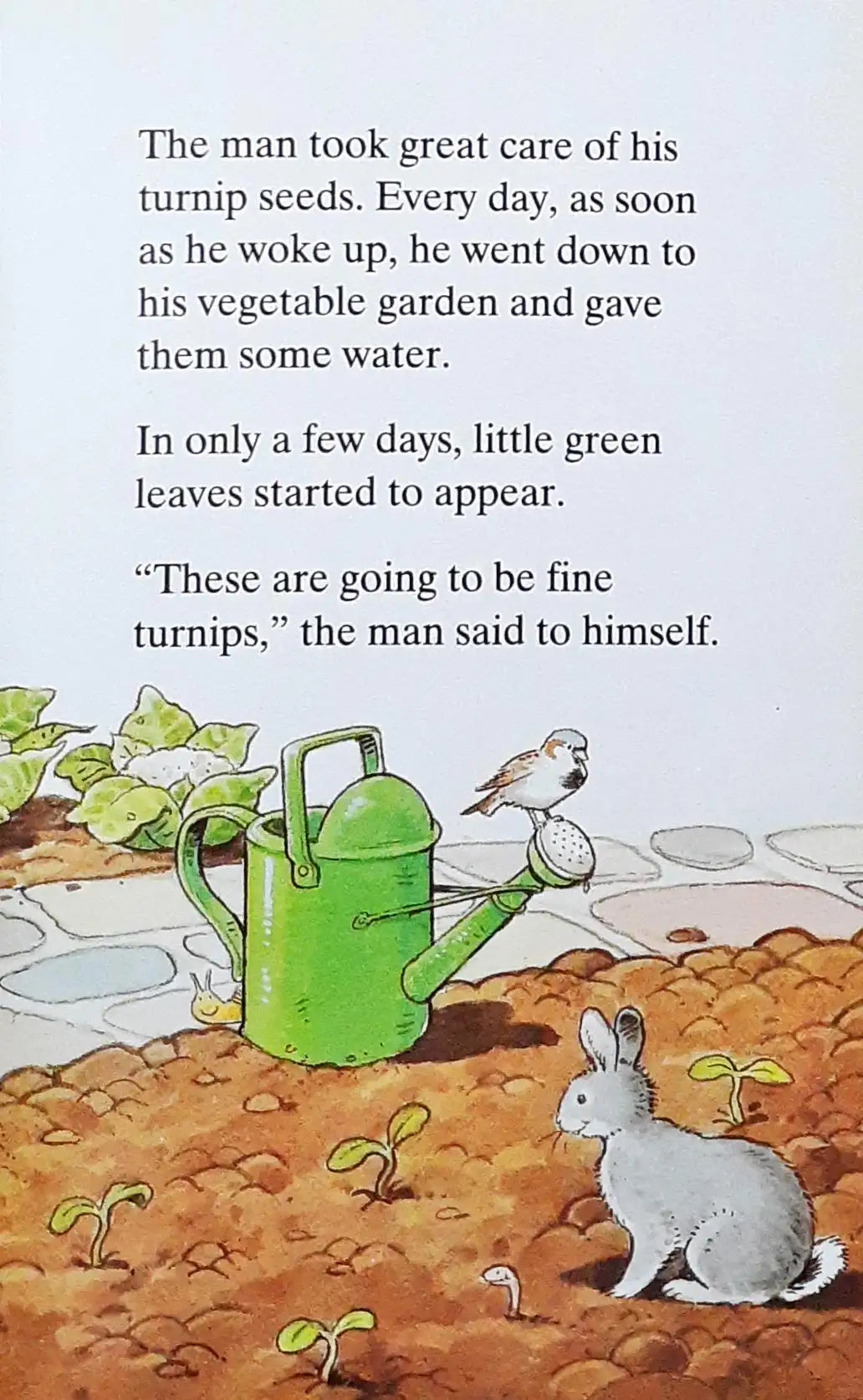 Ladybird Favourite Tales : The Enormous Turnip (P)