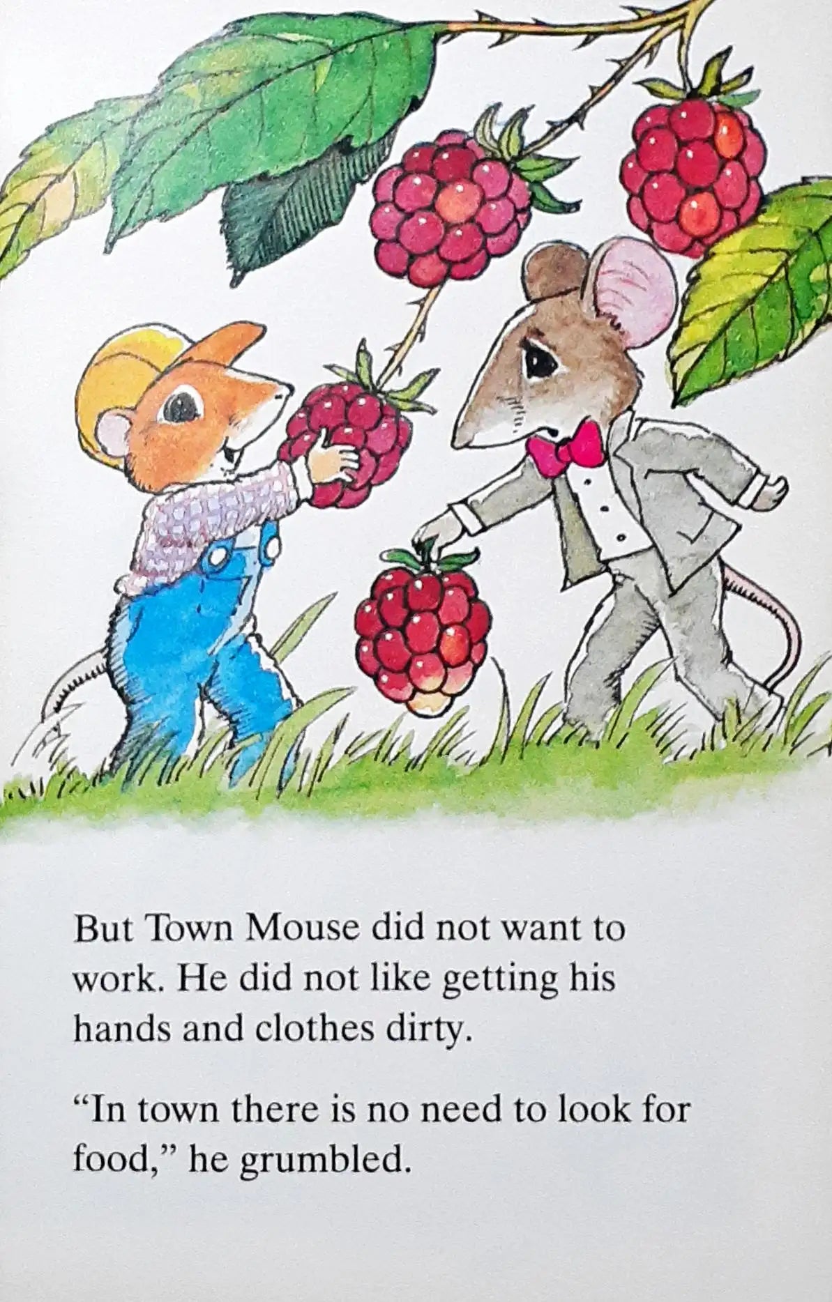 Ladybird Favourite Tales : The Town Mouse and the Country Mouse (P)