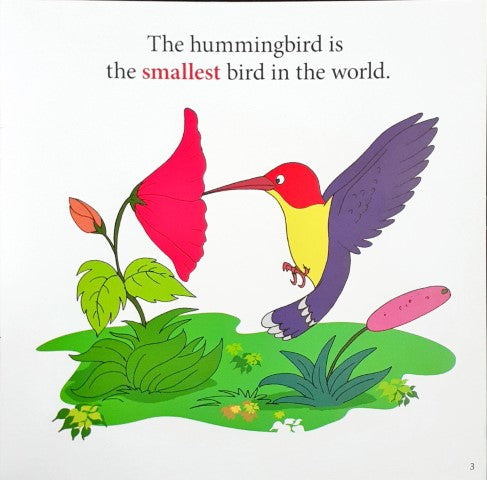 The World Of Grammar Let's Explore Adjective