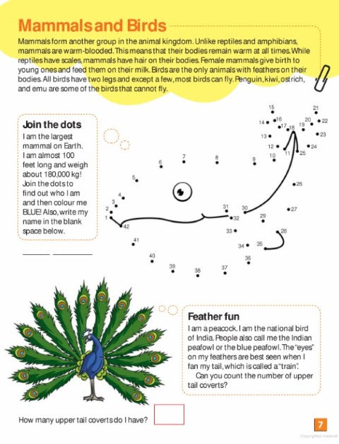 Let's Get Active: Learning about Animals