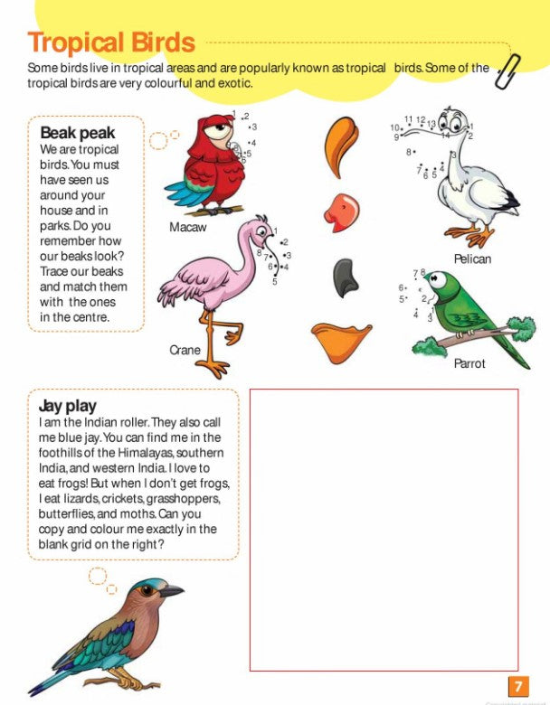 Let's Get Active: Learning about Birds