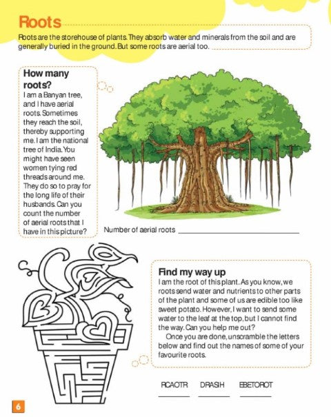 Let's Get Active: Learning about Plants